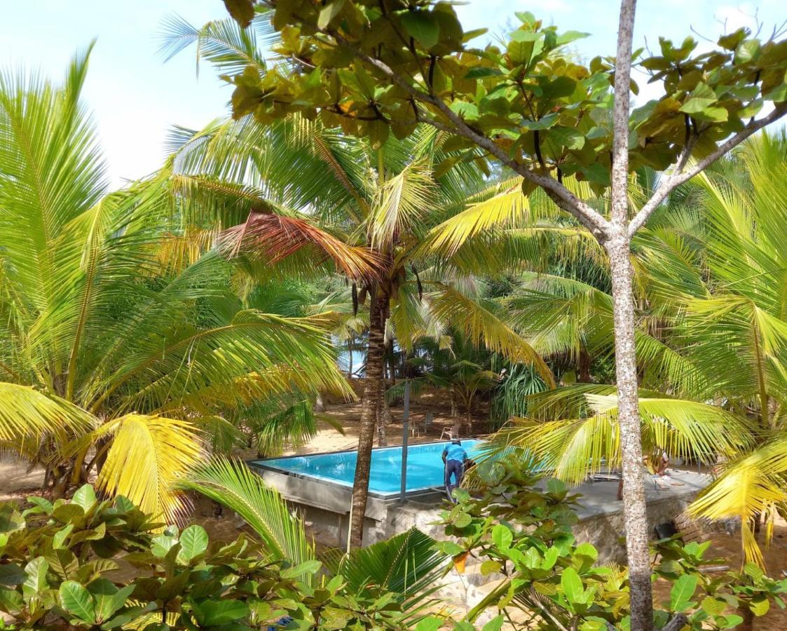 Tropical Garden Apartment Tangalle Bagian luar foto