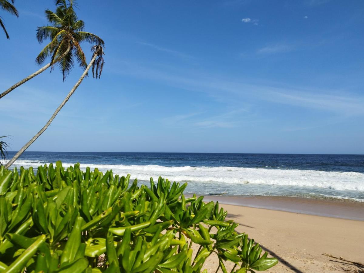 Tropical Garden Apartment Tangalle Bagian luar foto