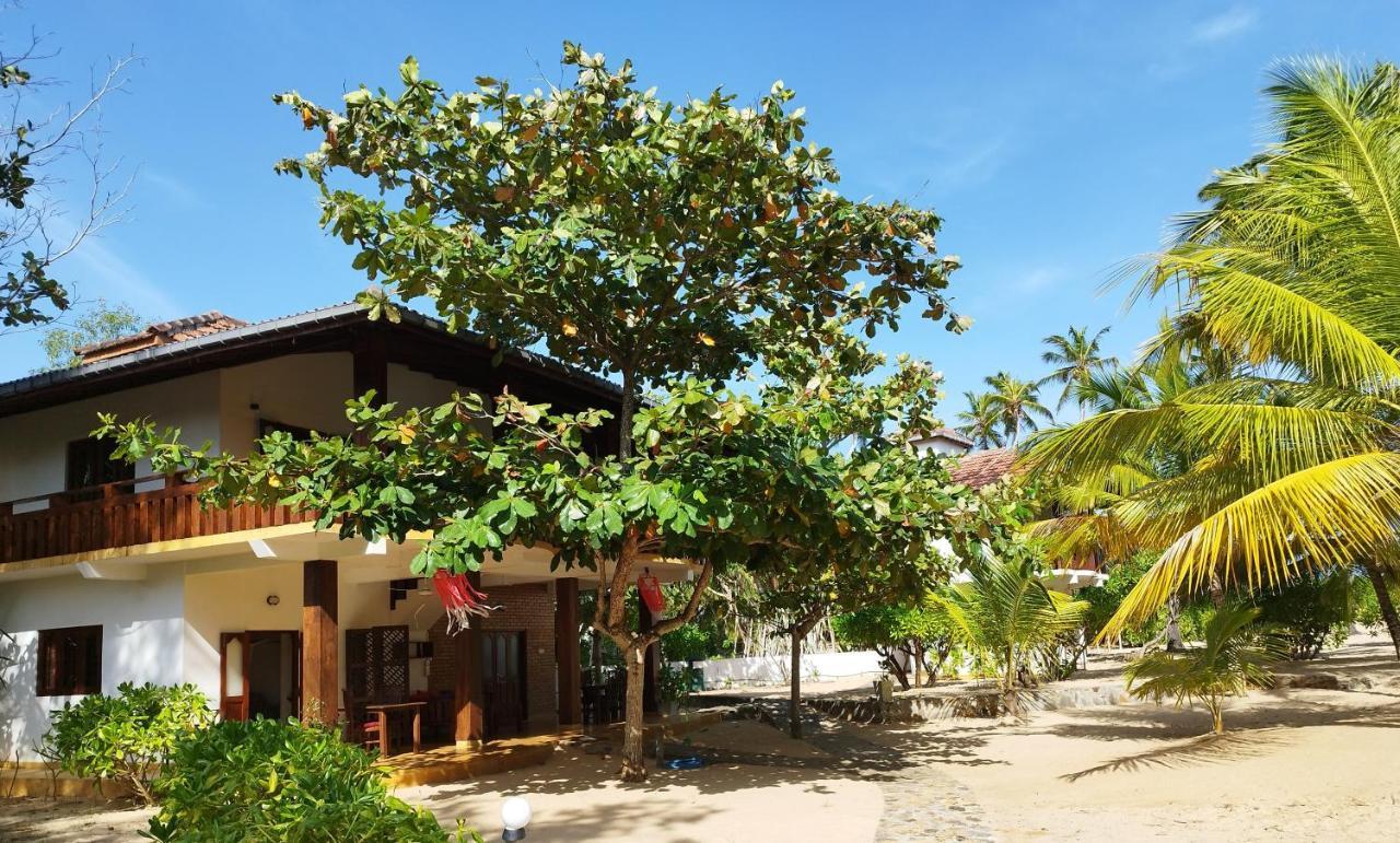 Tropical Garden Apartment Tangalle Bagian luar foto